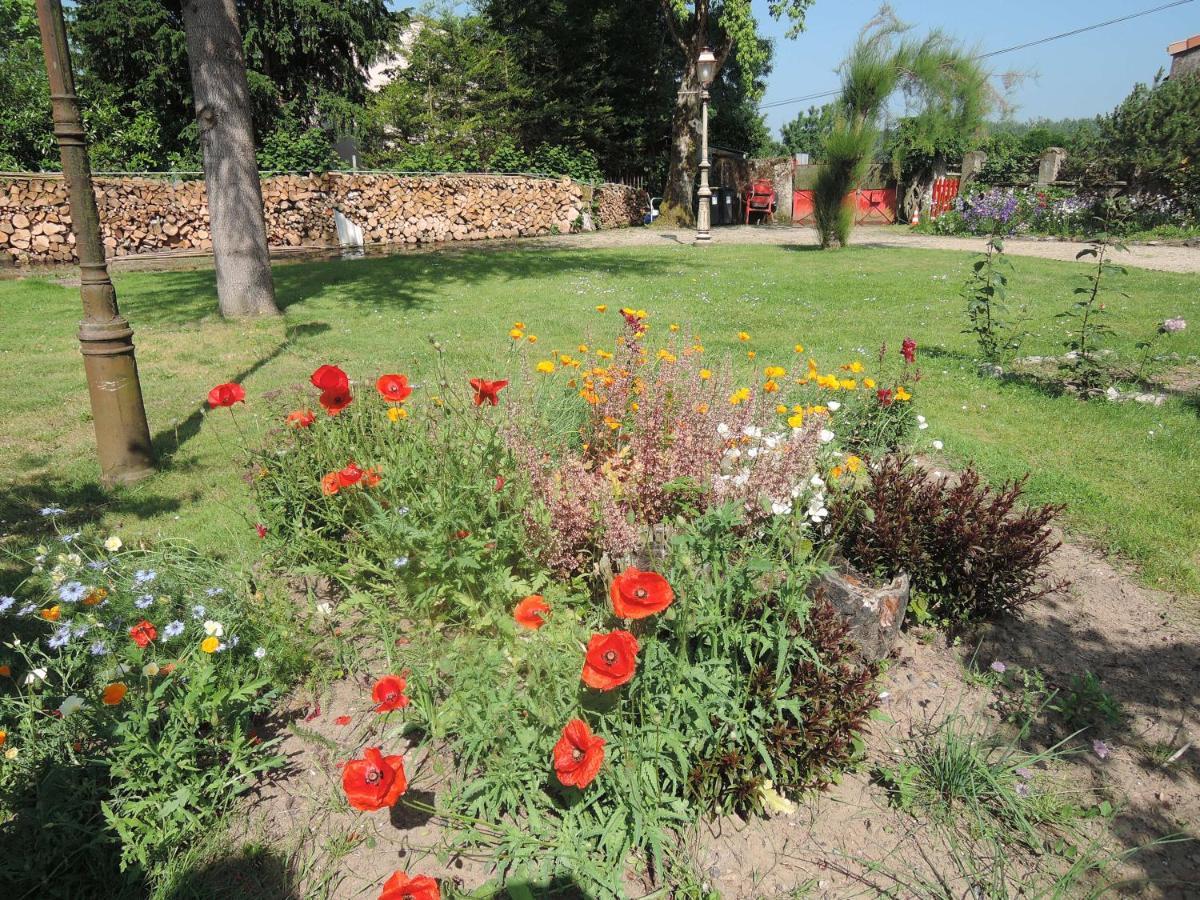Bed and Breakfast Bedloire à Drain Extérieur photo